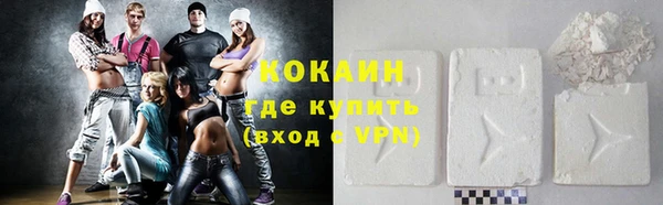 шишки Богородск