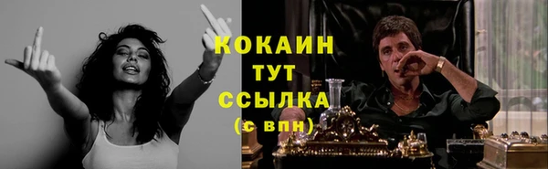 шишки Богородск