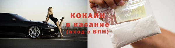 шишки Богородск